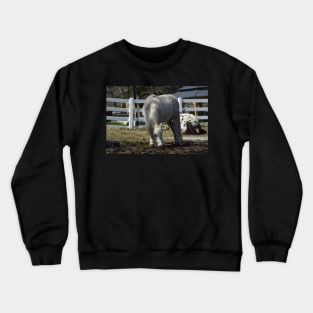 Pony Crewneck Sweatshirt